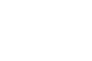 Q-Free 40 years emblem